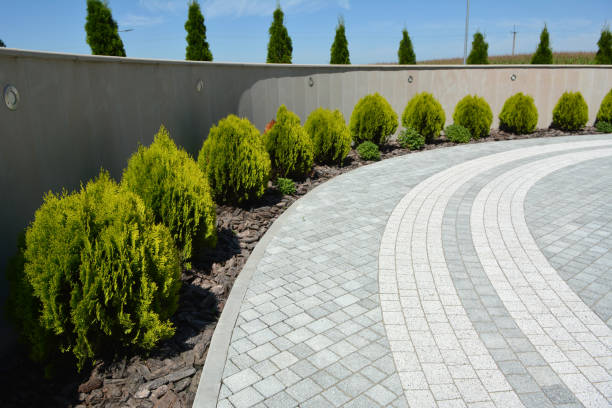 Best Professional Driveway Pavers  in Paramount, CA